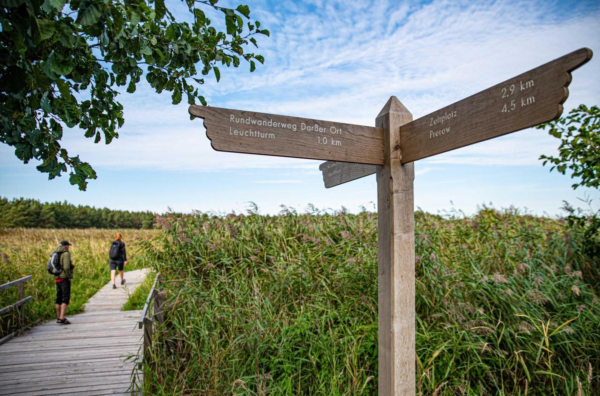 Strandhafer An Der Seebruecke Zingst Kültér fotó