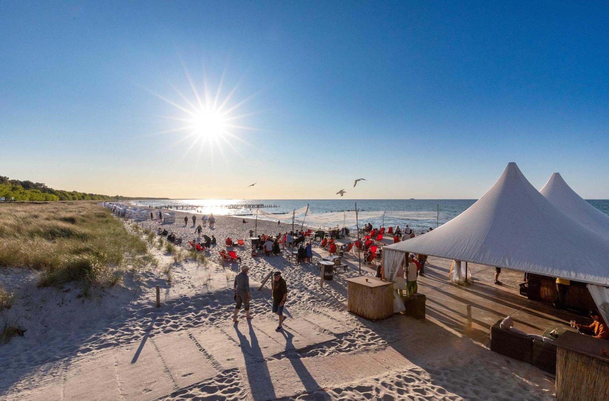 Strandhafer An Der Seebruecke Zingst Kültér fotó