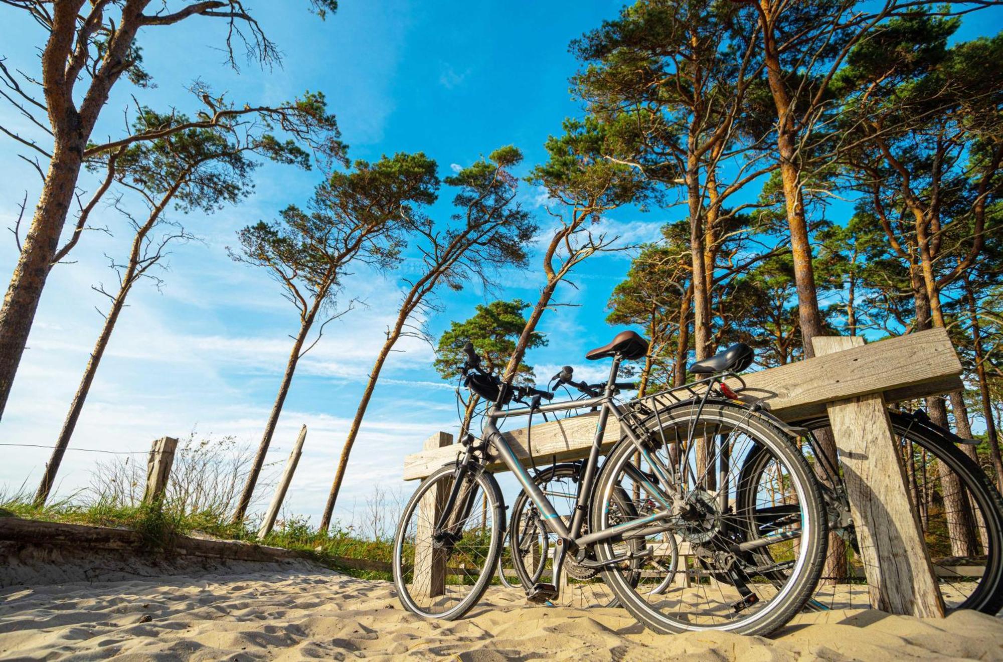 Strandhafer An Der Seebruecke Zingst Kültér fotó